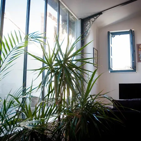 Loft Le Toit Du Carron De La Reille Apartment Carcassonne